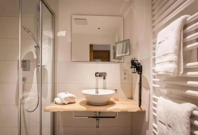 اتاق استاندارد یک نفره, Bollenhuthotel Kirnbacher Hof