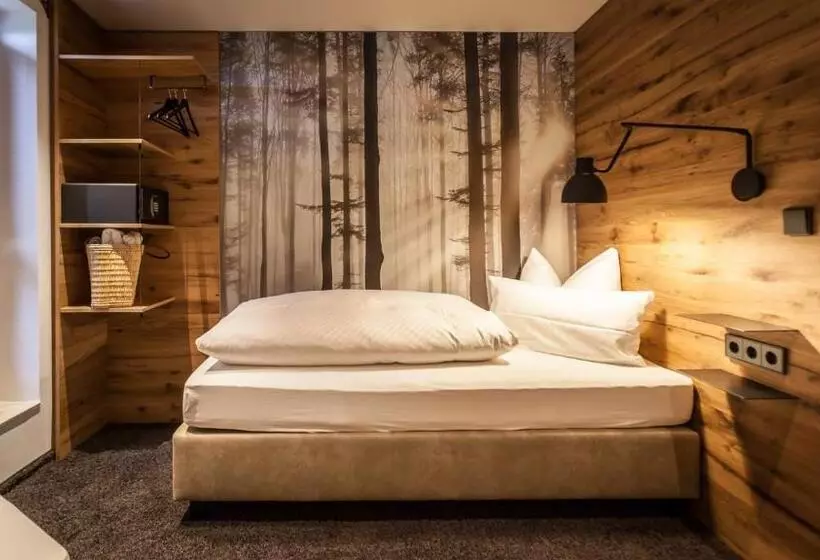 اتاق استاندارد یک نفره, Bollenhuthotel Kirnbacher Hof