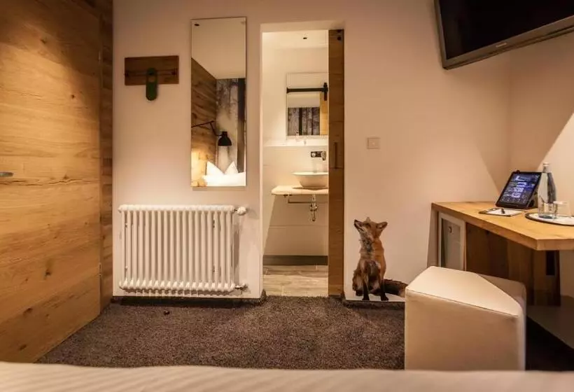اتاق استاندارد یک نفره, Bollenhuthotel Kirnbacher Hof