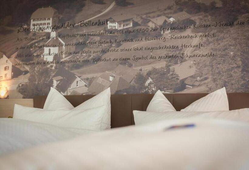 高级大房间, Bollenhuthotel Kirnbacher Hof