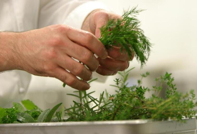 标准间, Bollenhuthotel Kirnbacher Hof