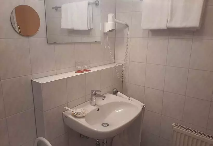 Standard-huone, Ferien  Und Aktivhotel Zum Arber