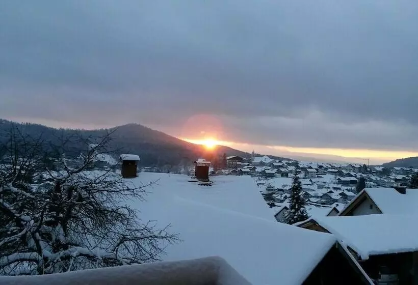 Standard-huone, Ferien  Und Aktivhotel Zum Arber