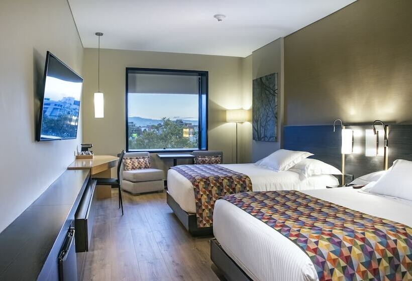 اتاق استاندارد با 2 تخت دوبل, Cite