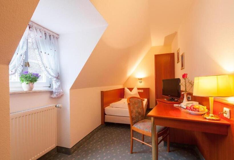 スタンダードシングルルーム, Domschatz