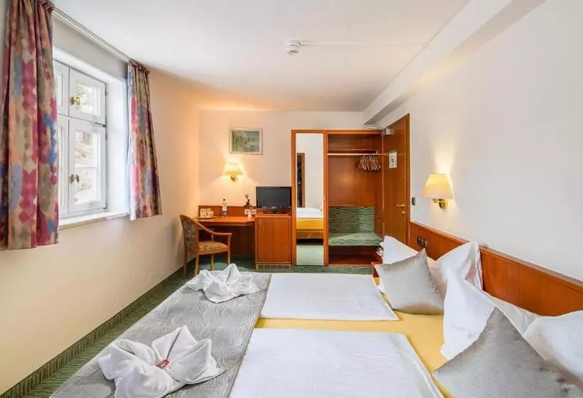Standard-huone, Domschatz