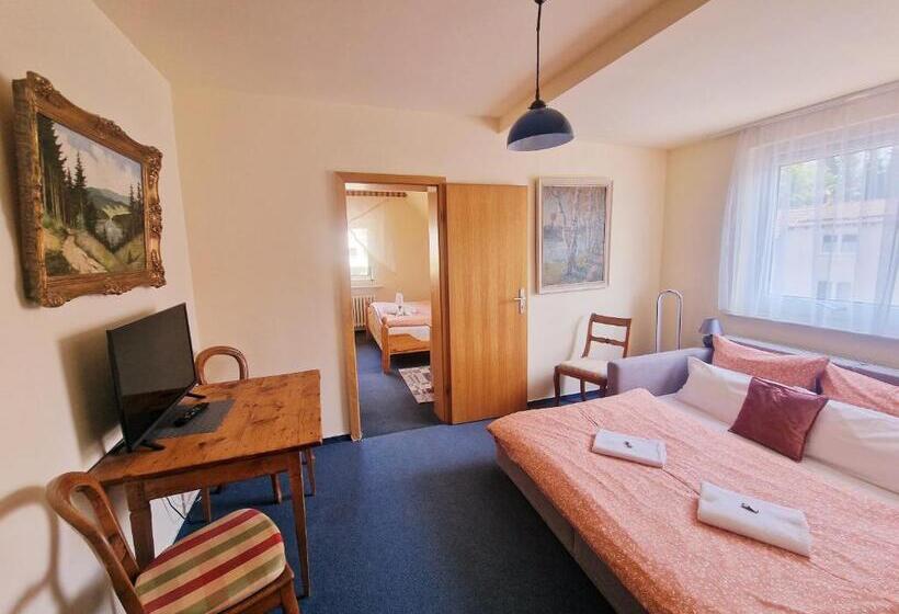 חדר משפחתי, Elisabeth Ilse