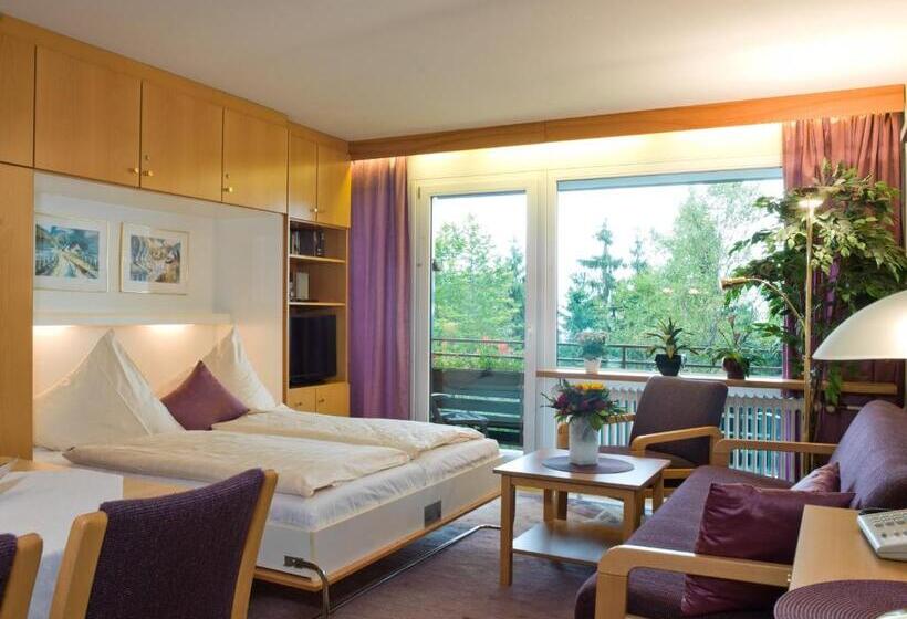 Апартаменты 1 Спальня, Haus Bayerwald