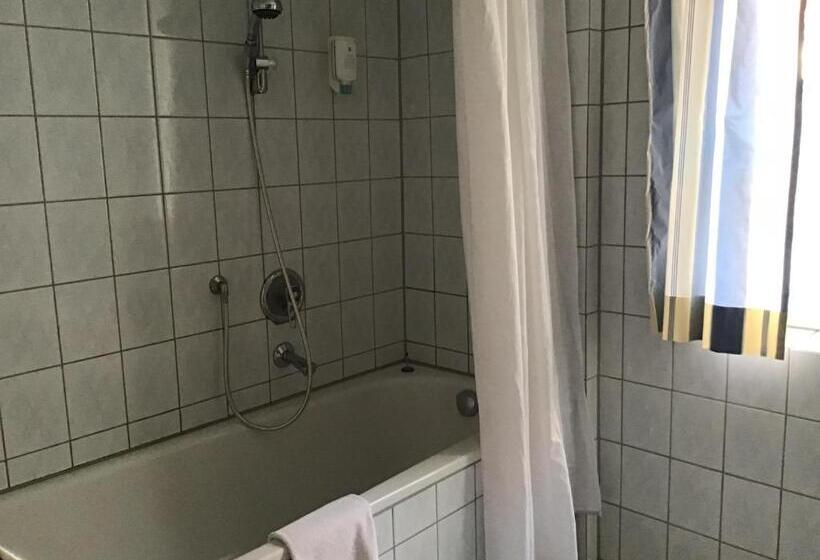 标准单人间, Historik Hotel Ochsen