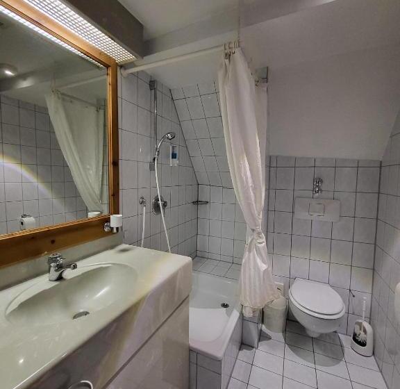 单人经济间, Historik Hotel Ochsen