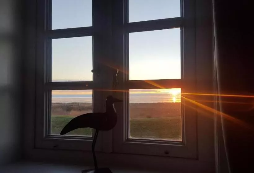 スタンダードルーム, Watthof