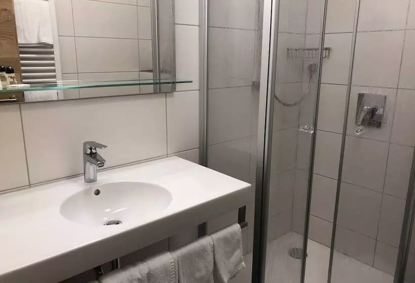 اتاق استاندارد یک نفره, Urlaubshotel Binder