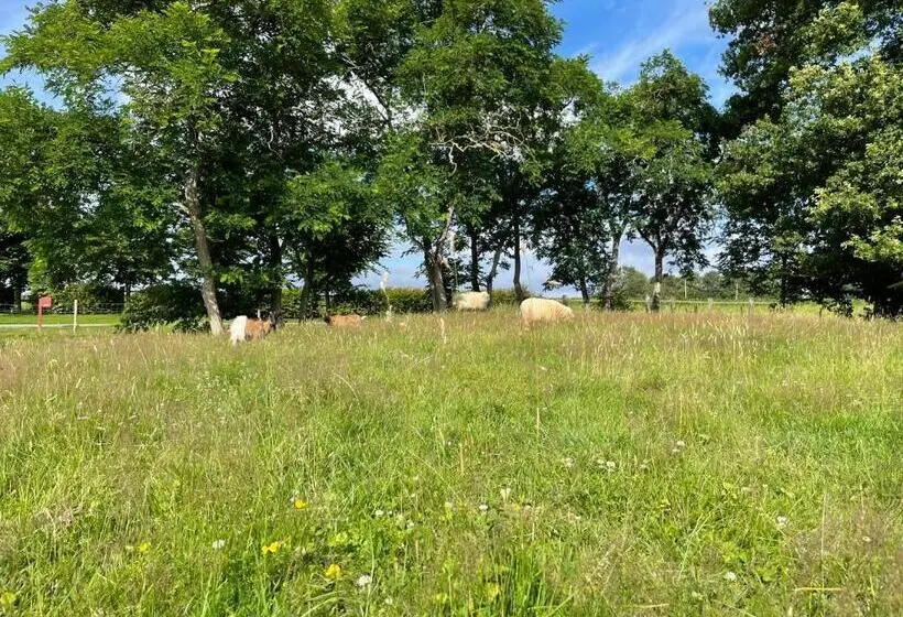 １ベッドルームアパートメント, Appart  D Hôtes , Ch Et Gîte Au Manoir De La Haute Pilais