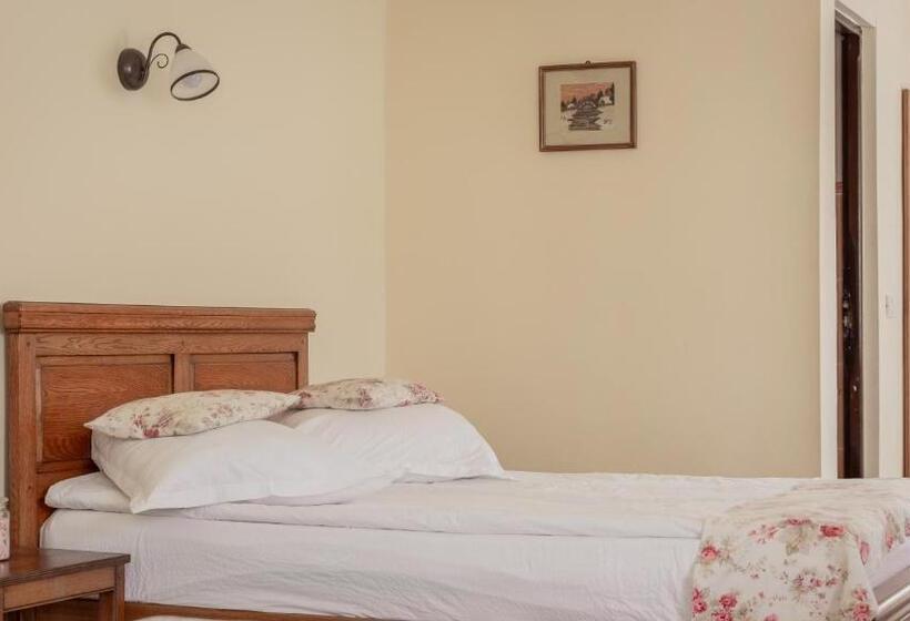 غرفة قياسية, Pensiunea Ana