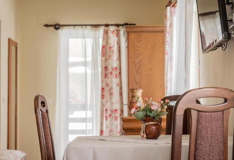 غرفة قياسية رباعية, Pensiunea Ana