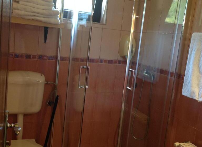 חדר סטנדרט עם מרפסת, Pensiunea Ana