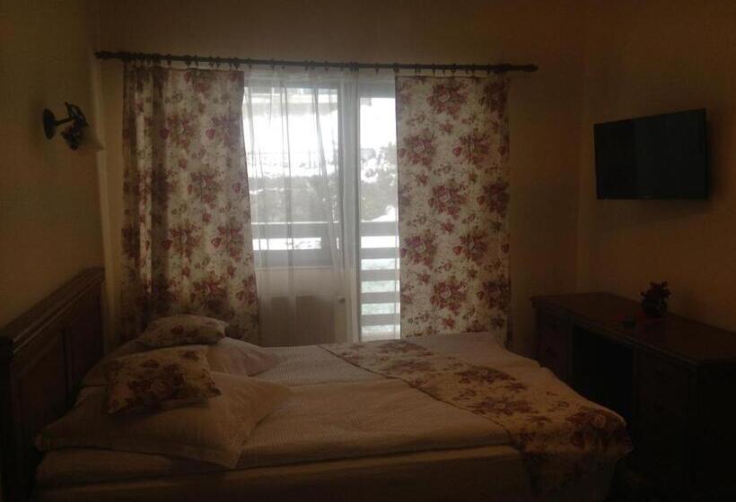 غرفة قياسية مزوَّدة بشُرفة, Pensiunea Ana