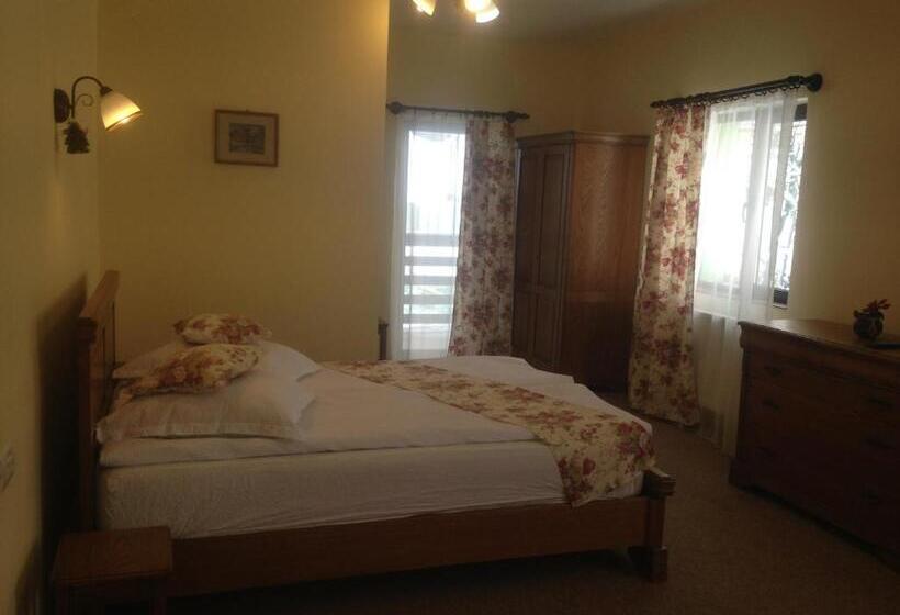 חדר סטנדרט עם מרפסת, Pensiunea Ana