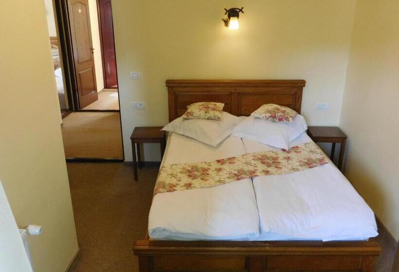חדר סטנדרט, Pensiunea Ana