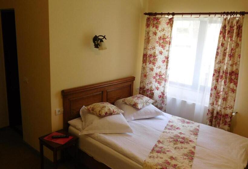 חדר סטנדרט, Pensiunea Ana