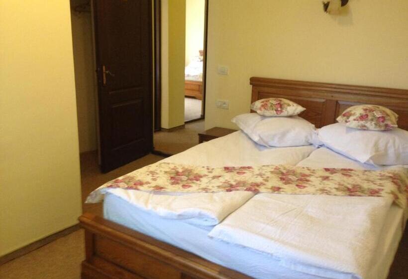 חדר סטנדרט, Pensiunea Ana