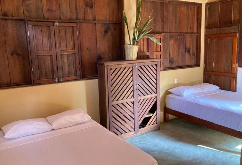 اتاق خانوادگی, Punta Mar