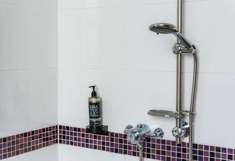 اتاق اکونومی یک تخته, Esplanade Hotel Llandudno