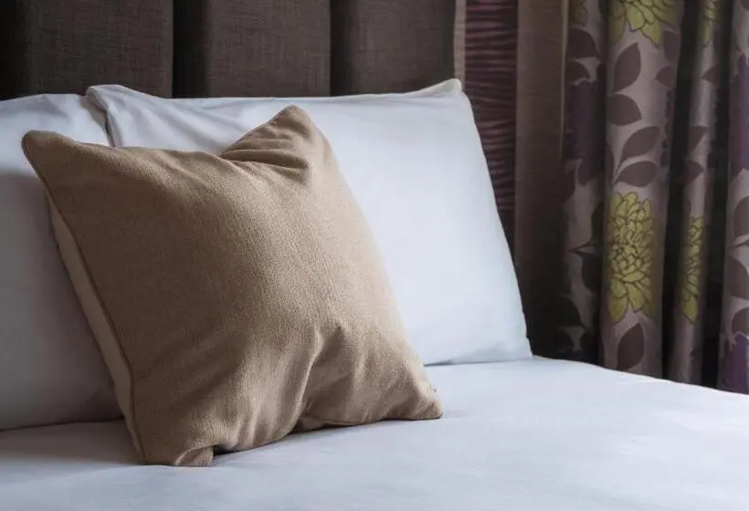 اتاق اکونومی یک تخته, Esplanade Hotel Llandudno