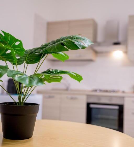 استودیوی استاندارد, Residence Villa Tota