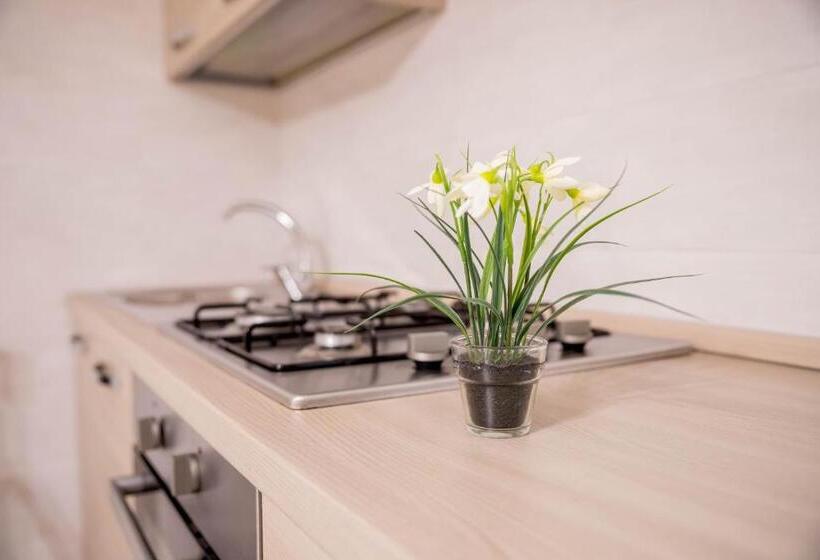 Студия Стандарт, Residence Villa Tota