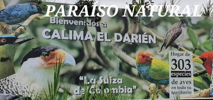 Номер Стандарт, La Hogareña
