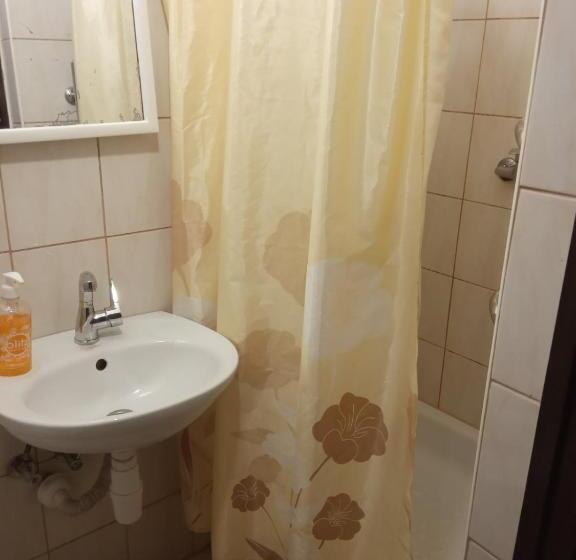 חדר קלאסי לשלושה, Motel Ararat