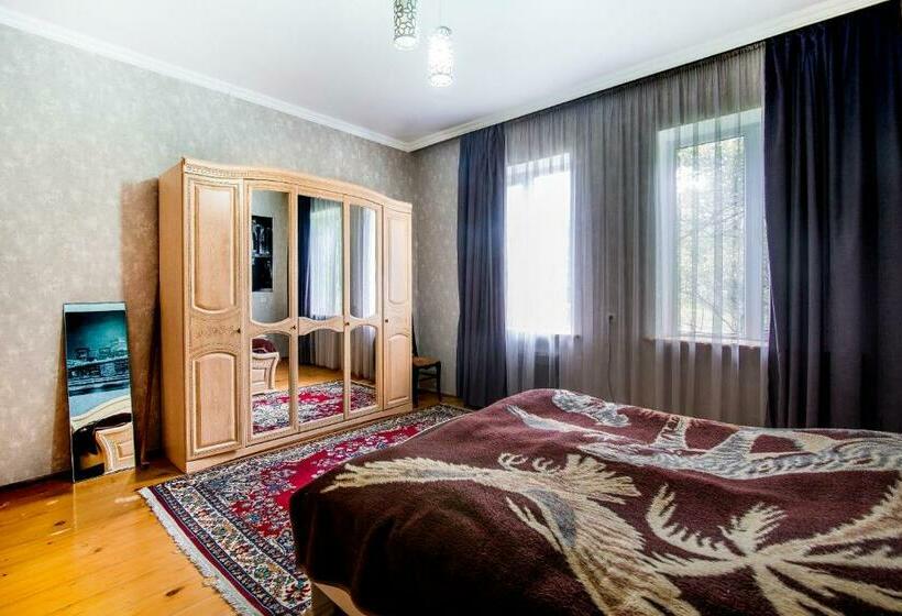 اتاق استاندارد با چشمانداز کوهستان, Tomas Kokhi