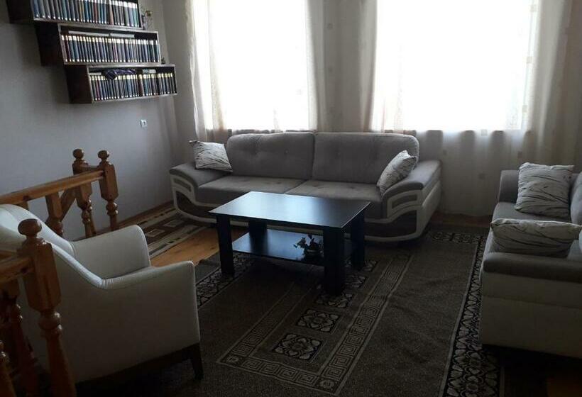 اتاق استاندارد با چشمانداز کوهستان, Tomas Kokhi