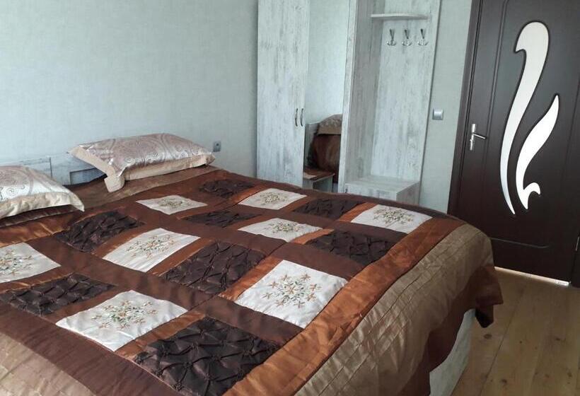 اتاق استاندارد با چشمانداز کوهستان, Tomas Kokhi