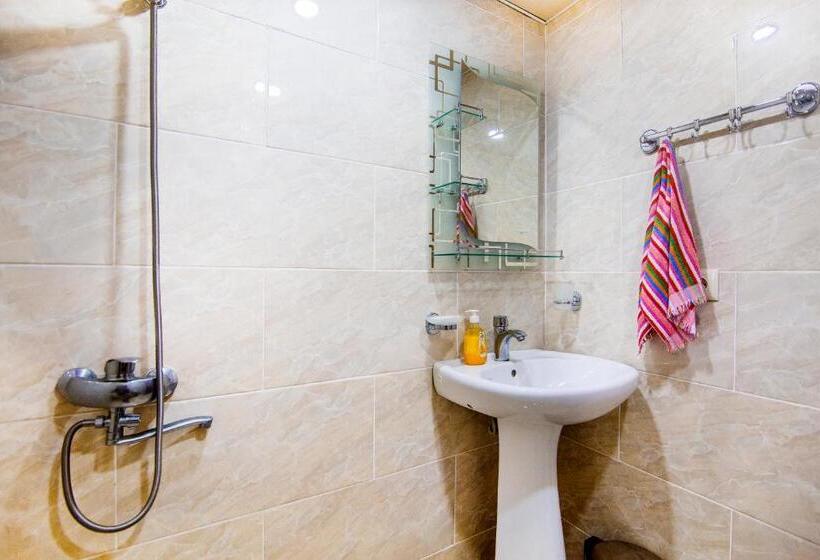 اتاق استاندارد با چشمانداز باغ, Tomas Kokhi