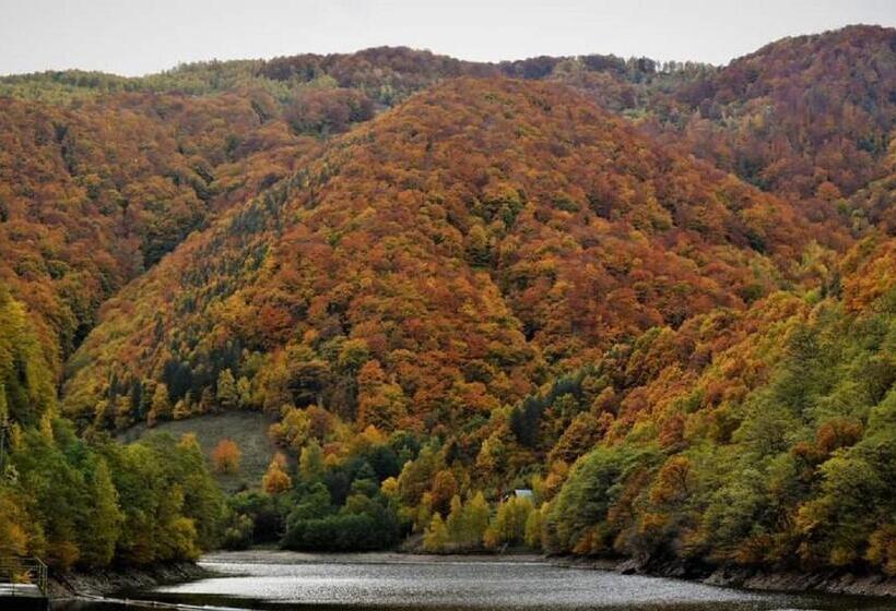 １ベッドルームハウス, Mateo Transalpina