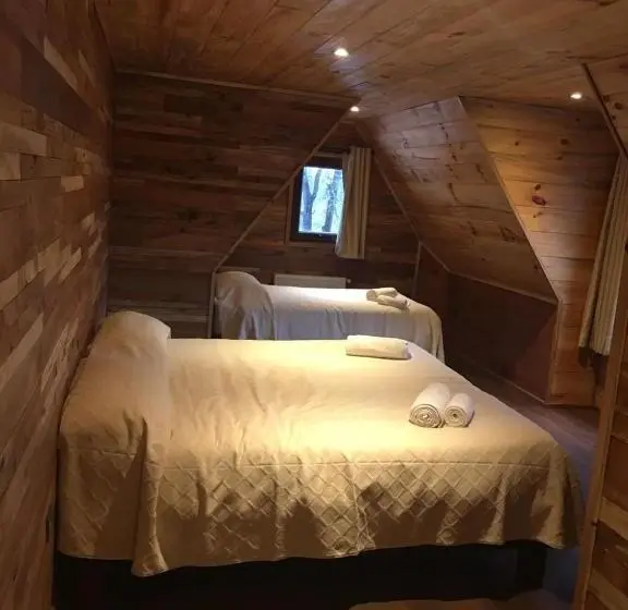 デラックスルーム, Lonquimay Lodge