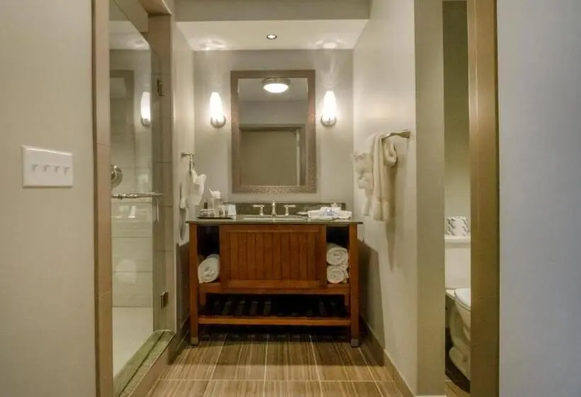 キングサイズベッドのデラックスルーム, Chautauqua Harbor Hotel   Jamestown