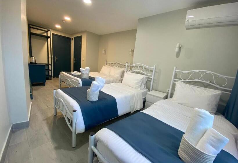 Четырехместный Номер Стандарт Вид на Сад, Cunda Villa Anka