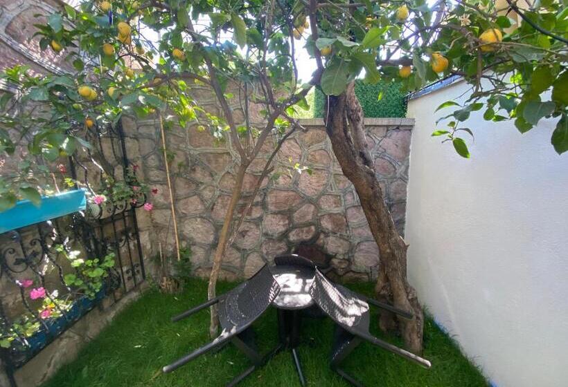 Трехместный Номер Стандарт Вид на Сад, Cunda Villa Anka