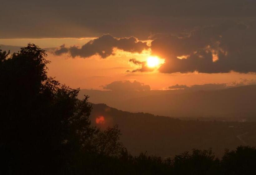 ガーデンビュースタンダードルーム, Pensiunea La Maria Lu  Sandoiu