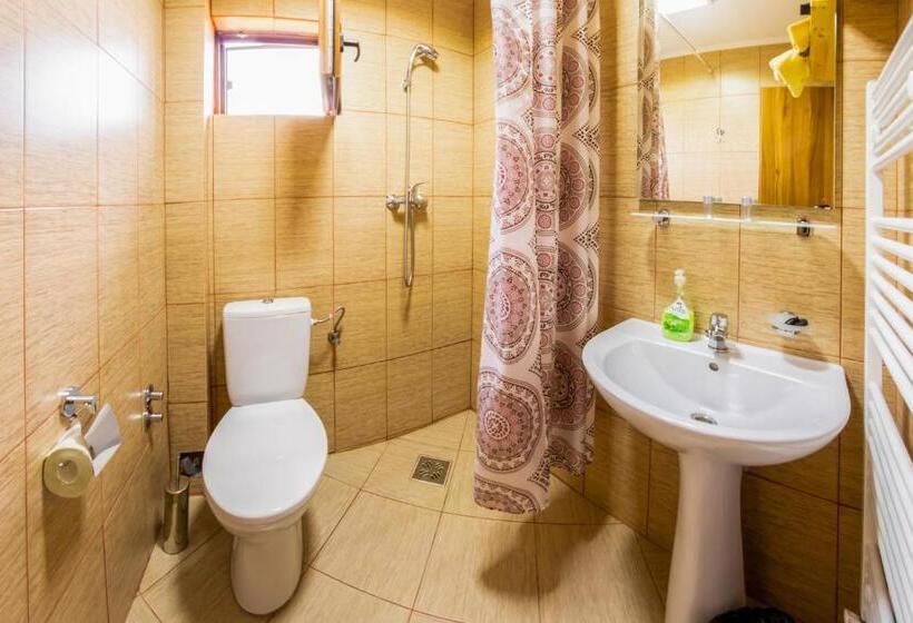 庭の見えるスタンダードトリプルルーム, Pensiunea La Maria Lu  Sandoiu