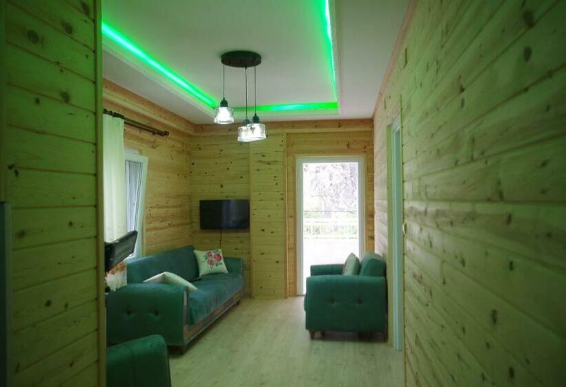 1ベッドルームのデラックスアパートメント, Su Apart