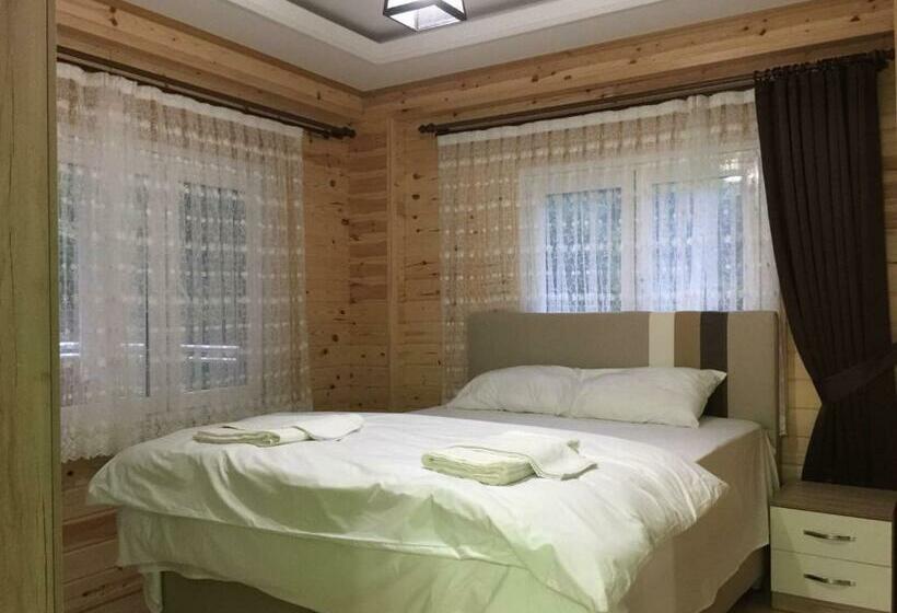 1ベッドルームのデラックスアパートメント, Su Apart