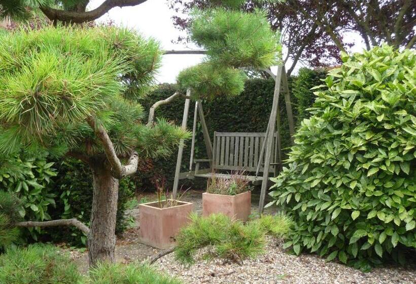 Номер Стандарт Совместная Ванная, B&b “te Warskip Bij Blokvis”