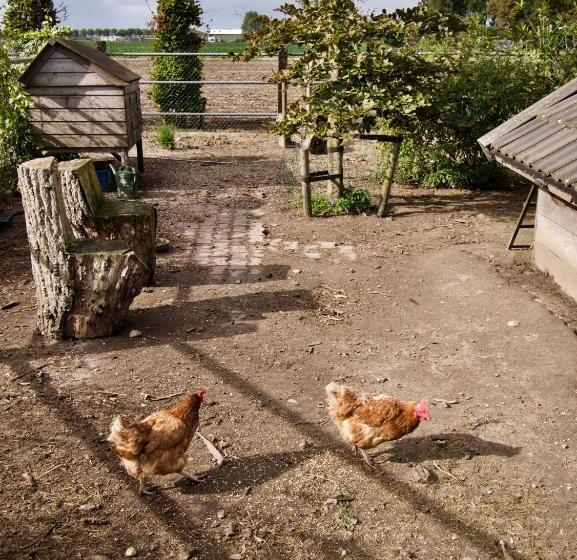 Номер Стандарт Совместная Ванная, B&b “te Warskip Bij Blokvis”