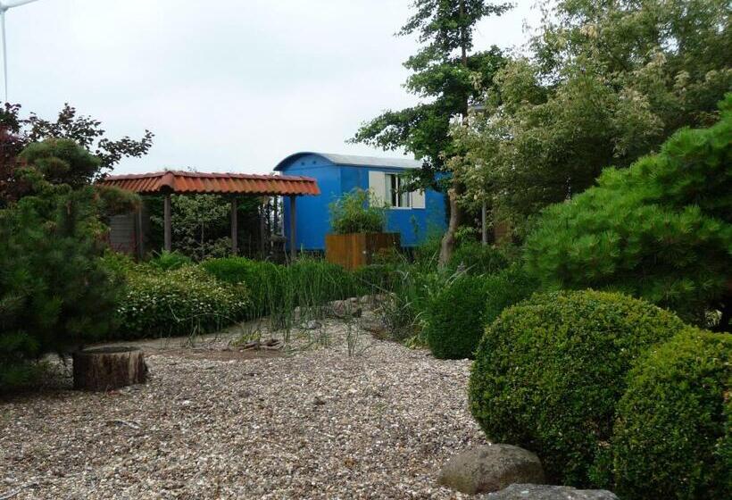 Номер Стандарт Трехместный, B&b “te Warskip Bij Blokvis”