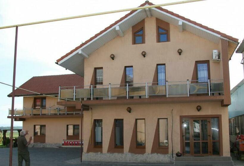 스탠다드 룸, Adial