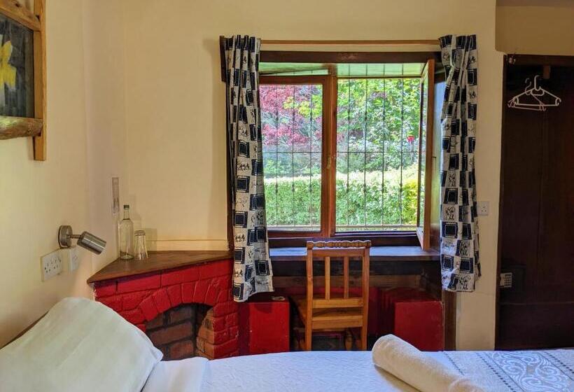 חדר סטנדרט, Lawns